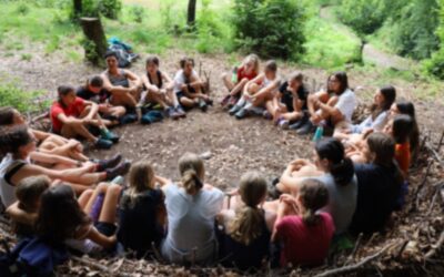 Piantine in crescita